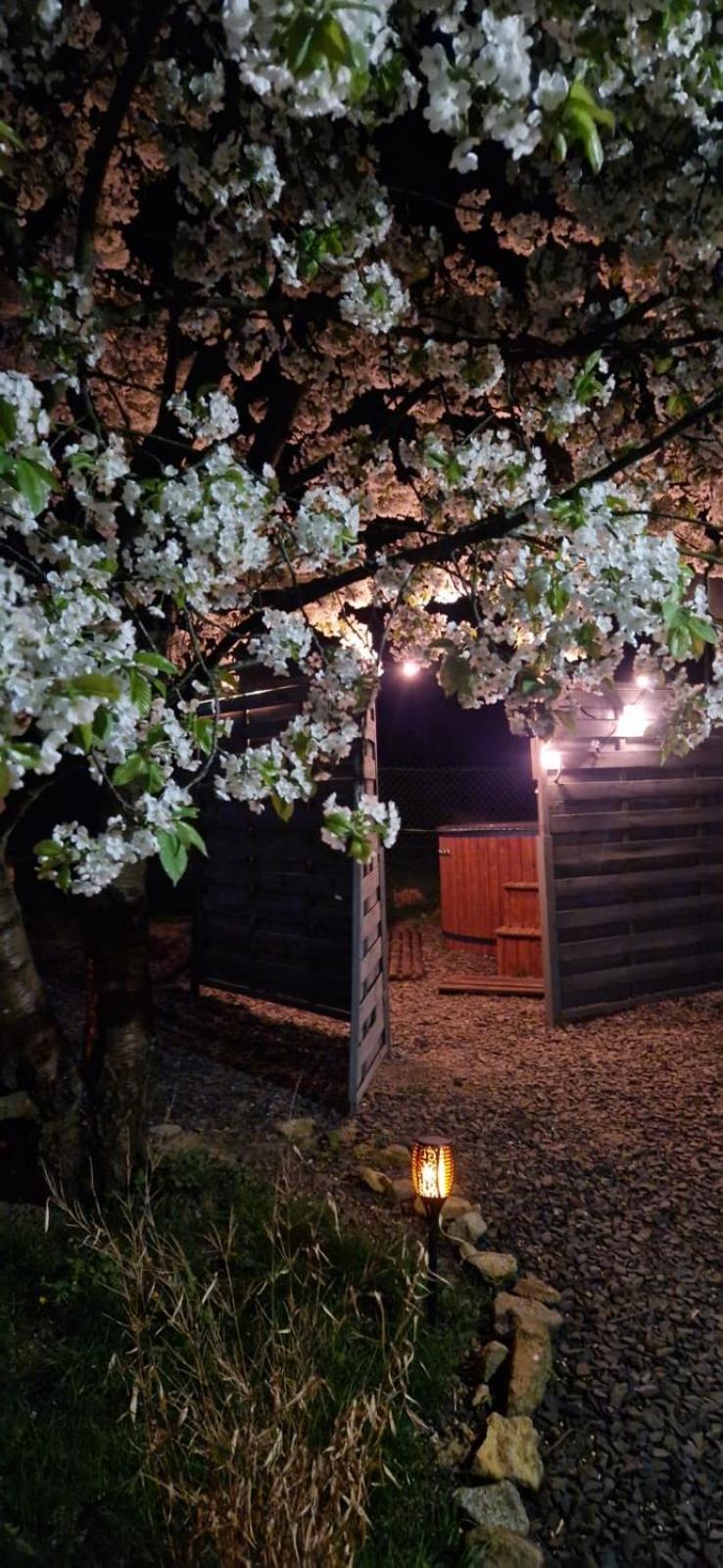 Agroturystyka U Kozdryka Löschney Exterior foto